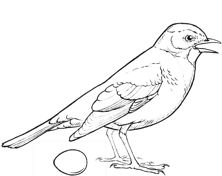 line sketch of a bird with its beak open