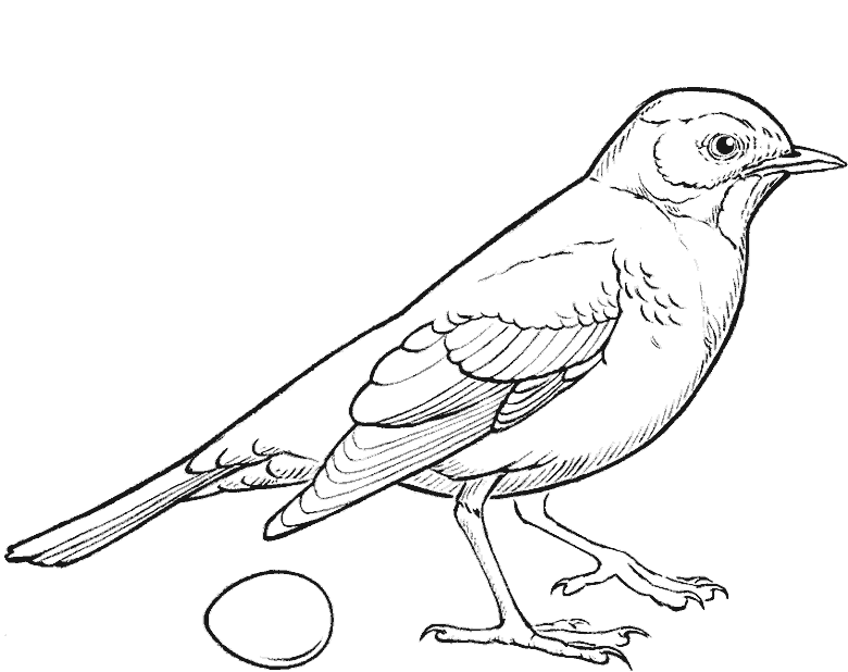 line sketch of a bird standing on one leg