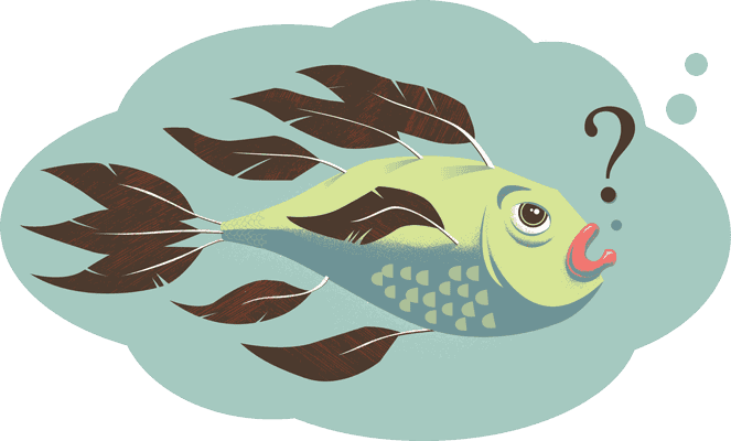 fish with feathers