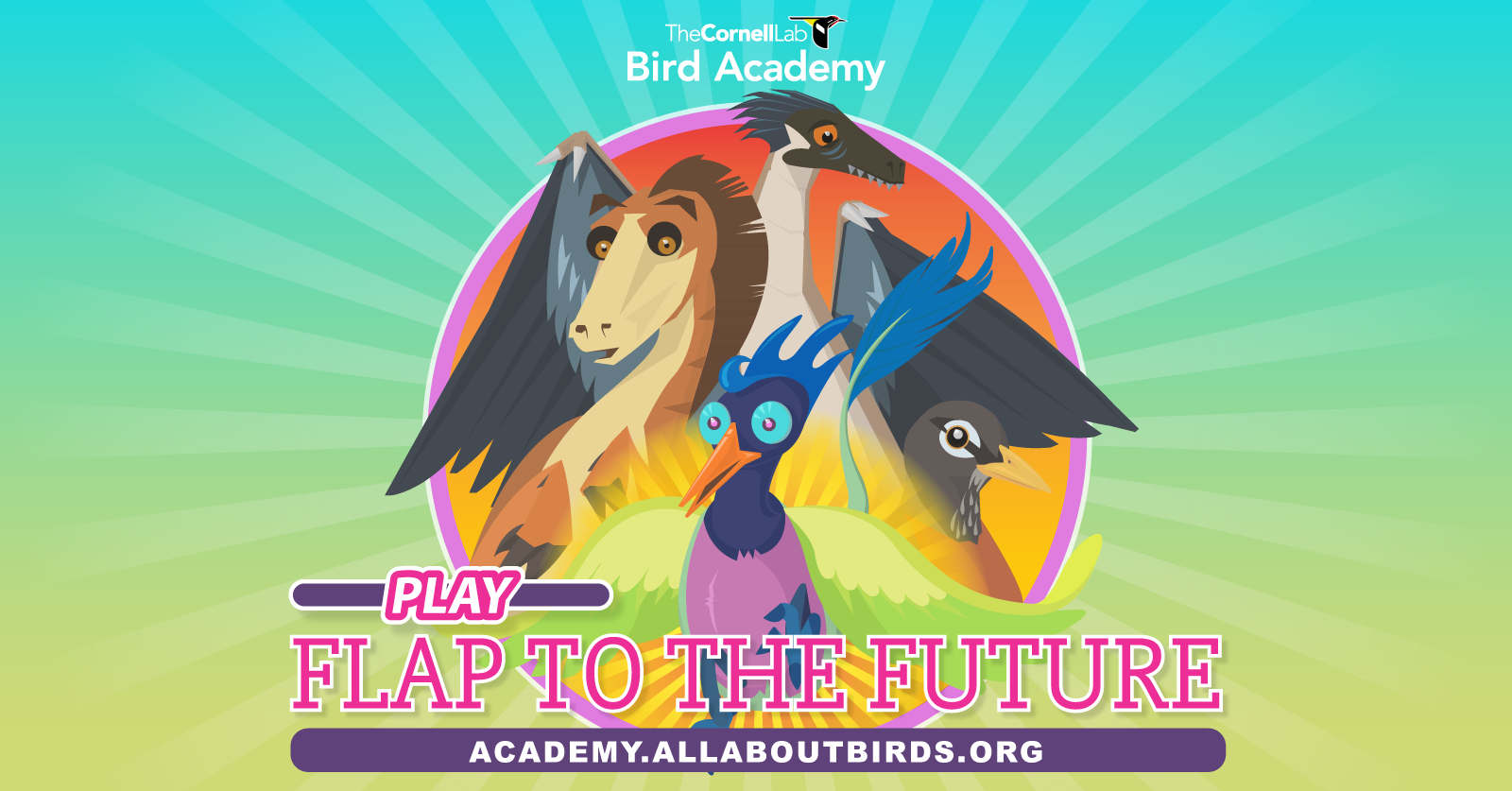 Bird academy. Flap картинка. To Flap. Флап.