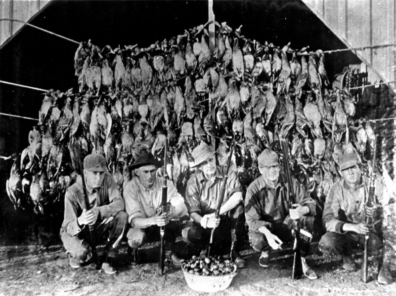 Hunters posing in front of dead Passenger Pigeons