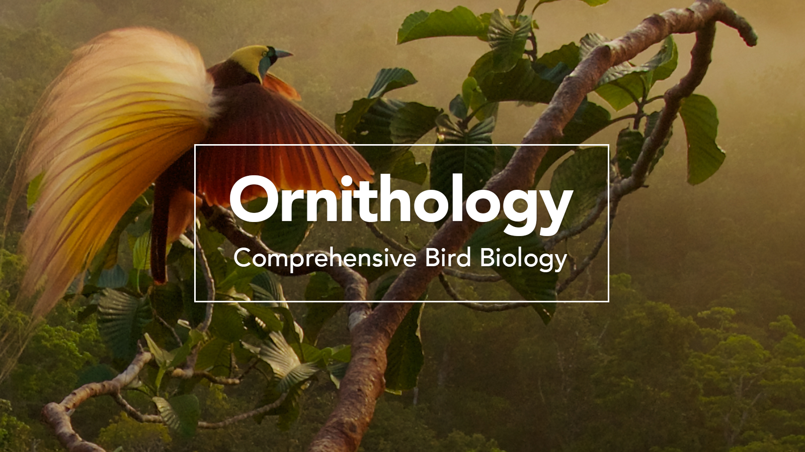 Ornithology: Comprehensive Bird Biology