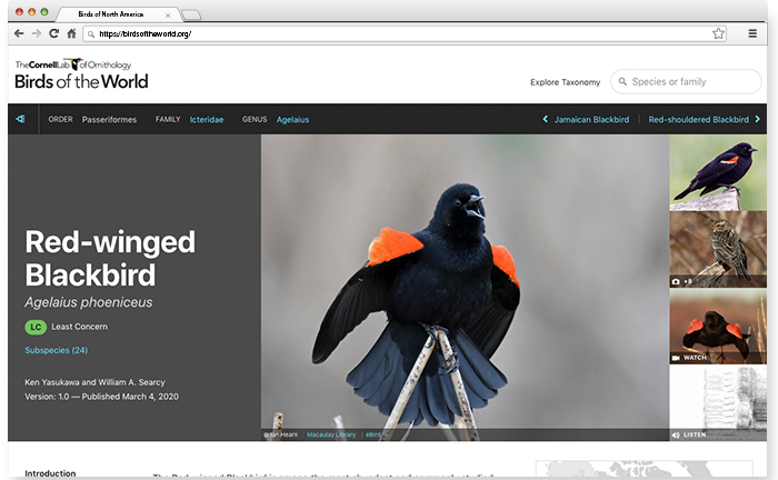 Birds of North America Website