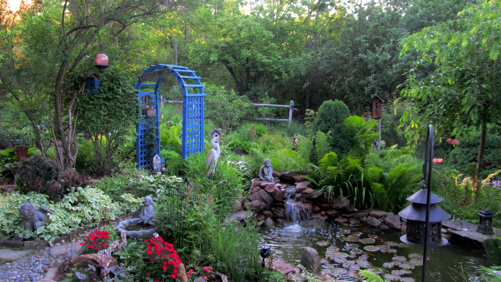 Garden with pond and bird feeders