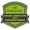 Nature Connection with <i></noscript>Feathered Friends</i> badge