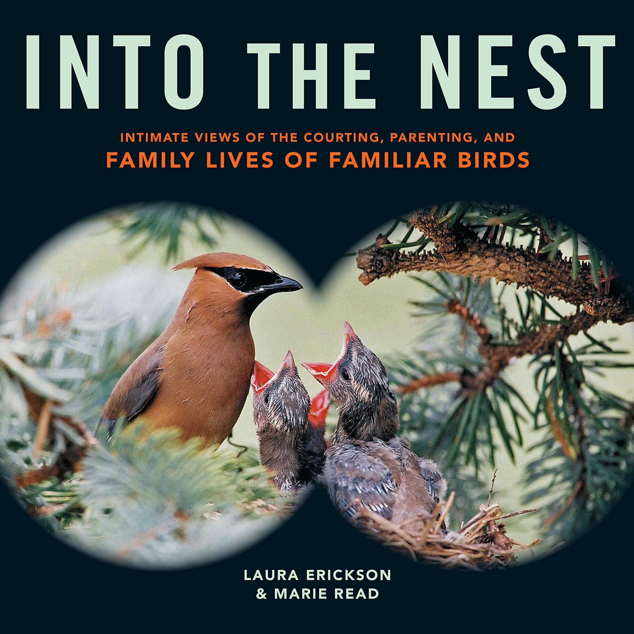 Cover of Into the Nest by Laura Erickson and Marie Read and