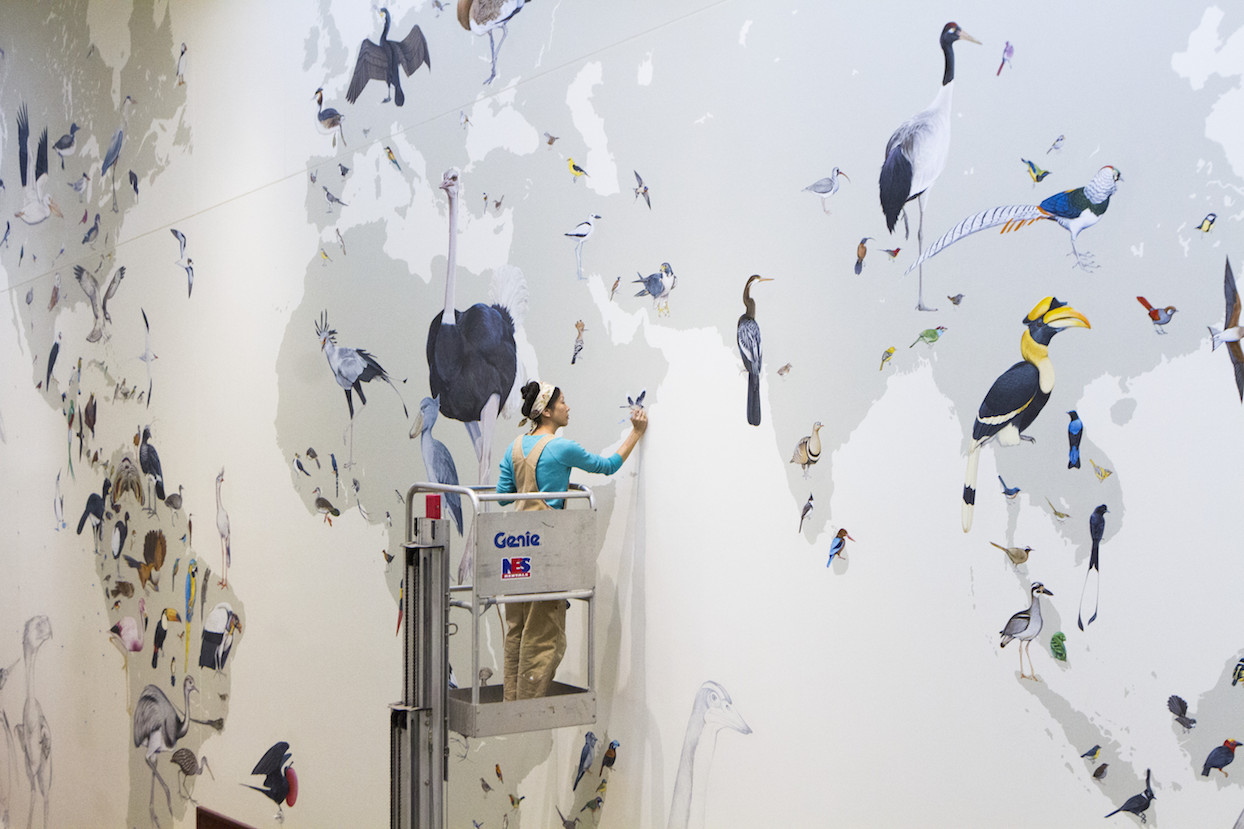 Jane Kim painting the Wall of Birds mural