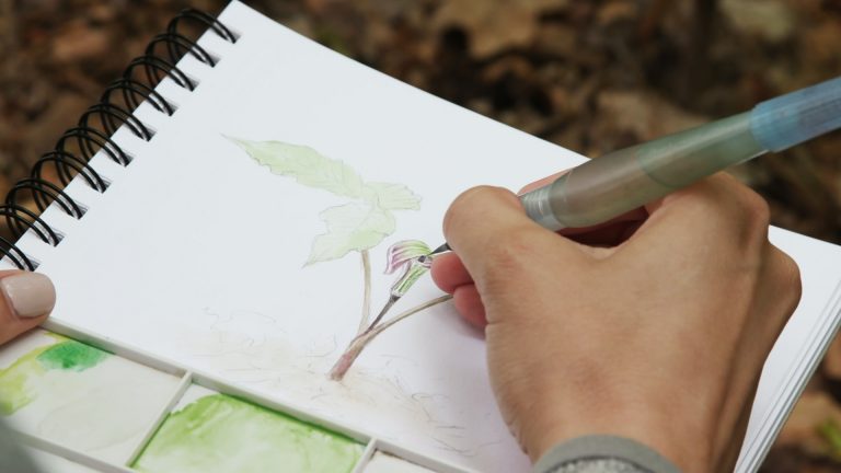 Liz Clayton Fuller painting a Jack in the Pulpit