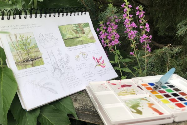 The Art of Field Sketching