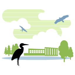 illustration of birds flying around the Cornell Lab of Ornithology building.