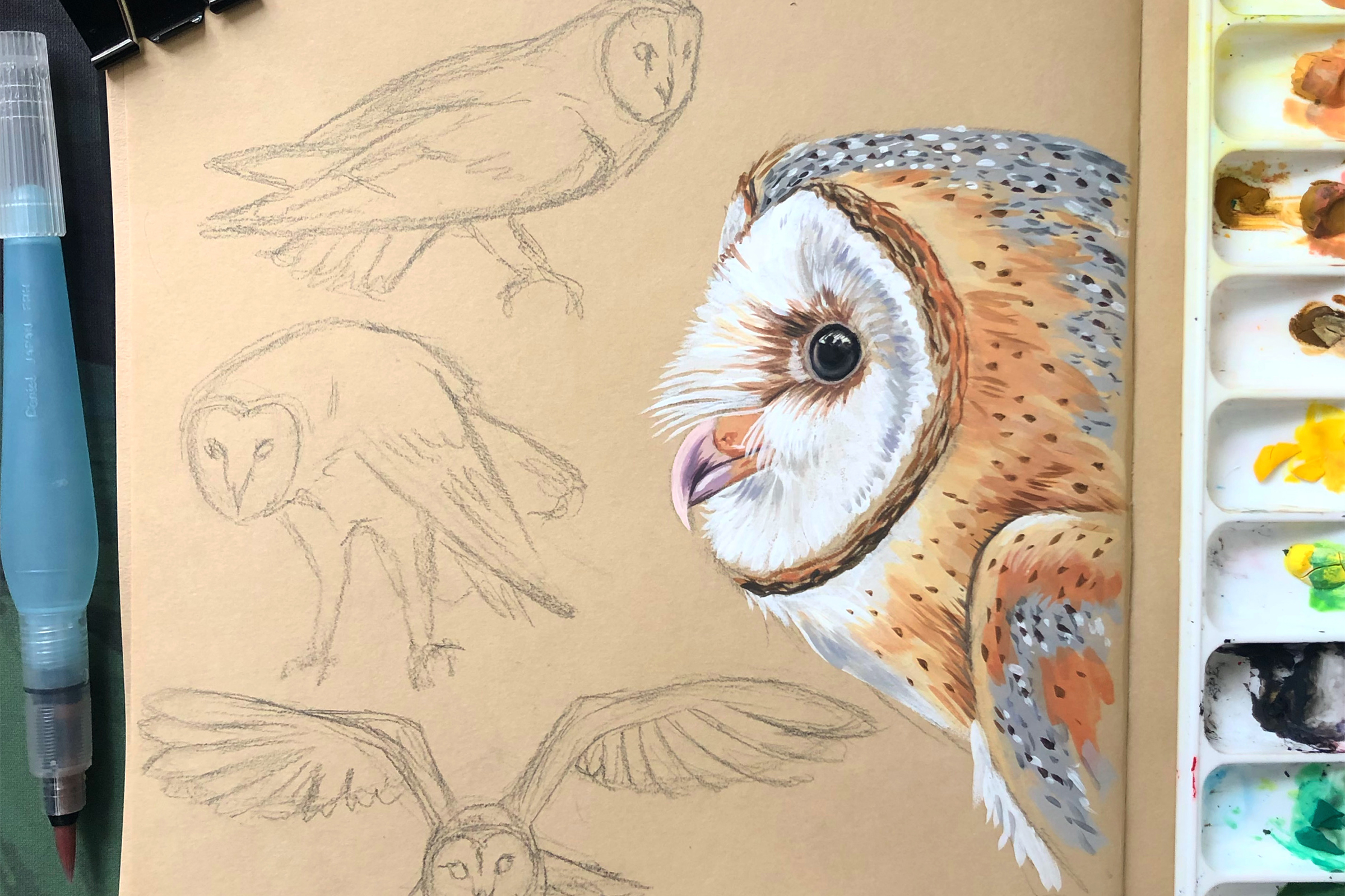 Barn Owls sketch and painting