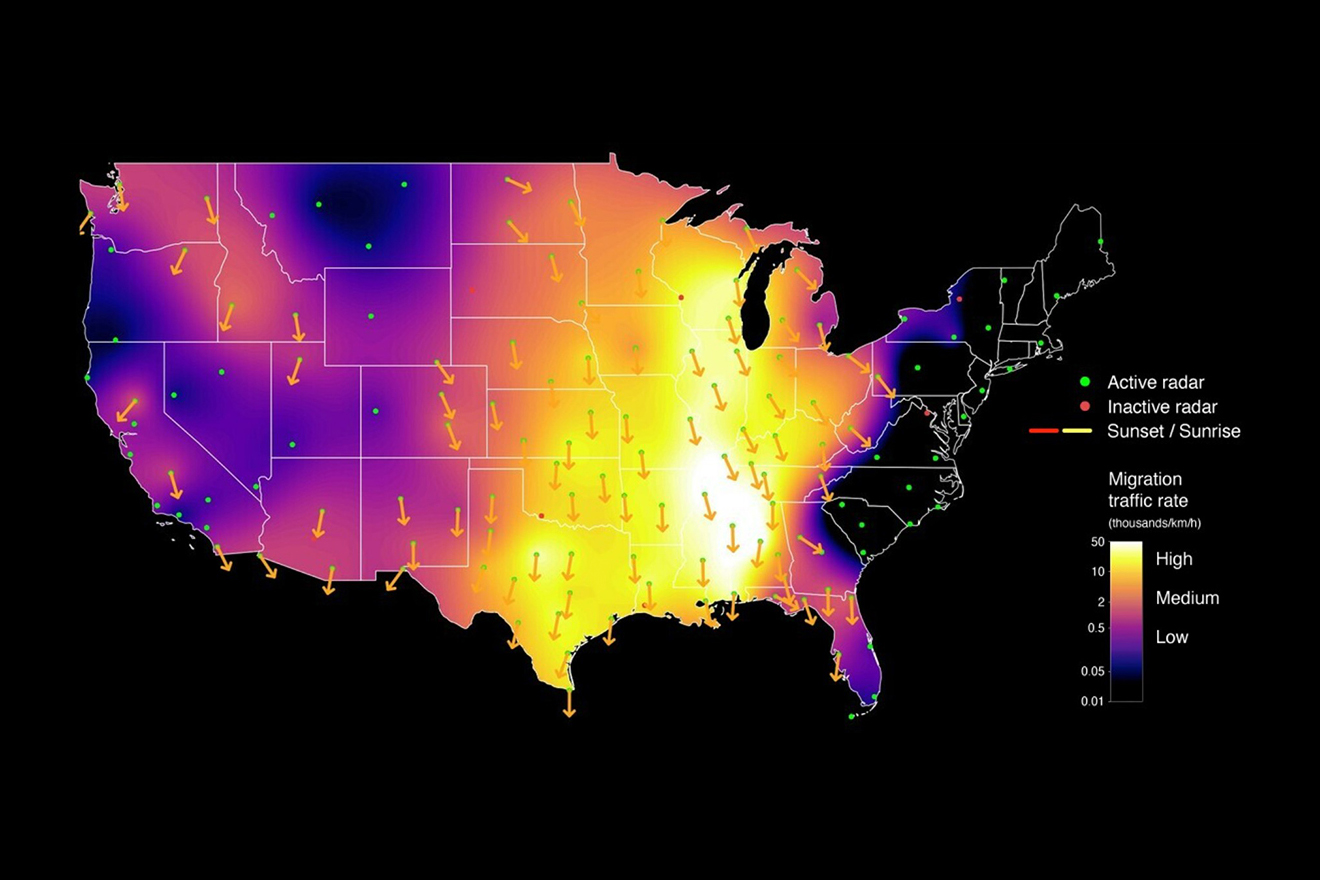 heat map of bird migration in the united states