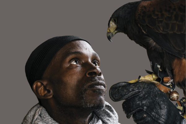 man with a falcon