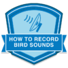How to Record Bird Sounds badge