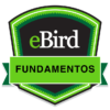 Fundamentos de eBird badge