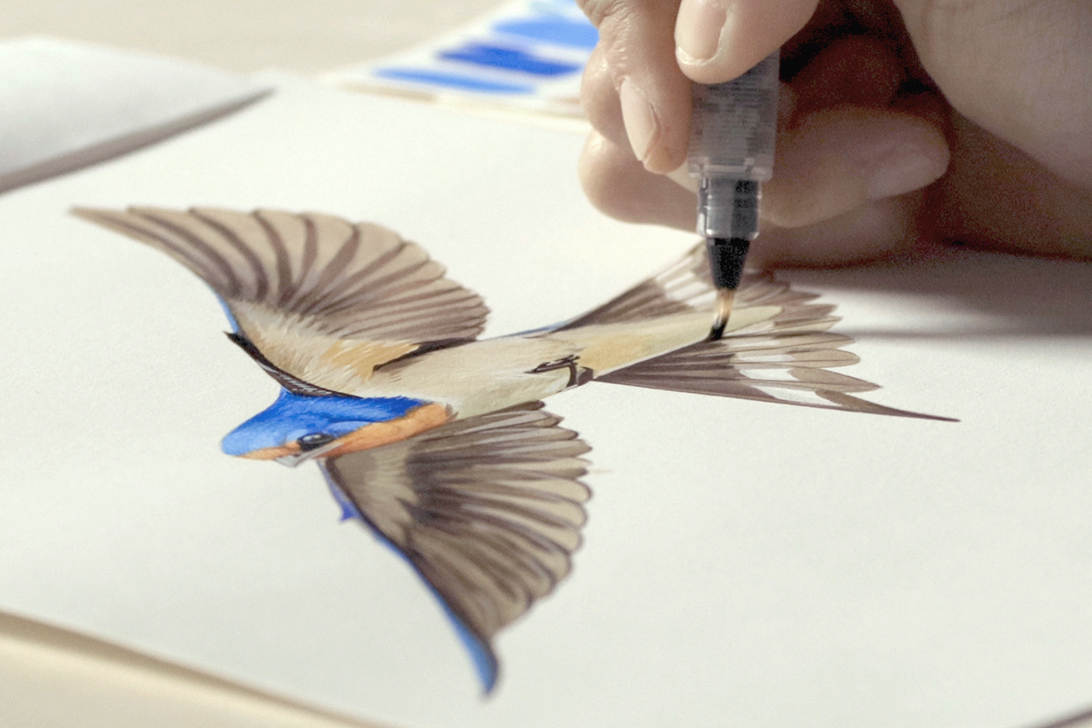 close up of hand painting a bird