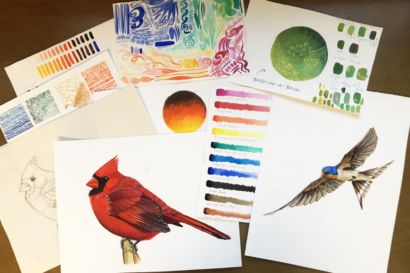 Samples of art made in How to Paint Birds course