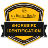 Be a Better Birder: Shorebird Identification badge