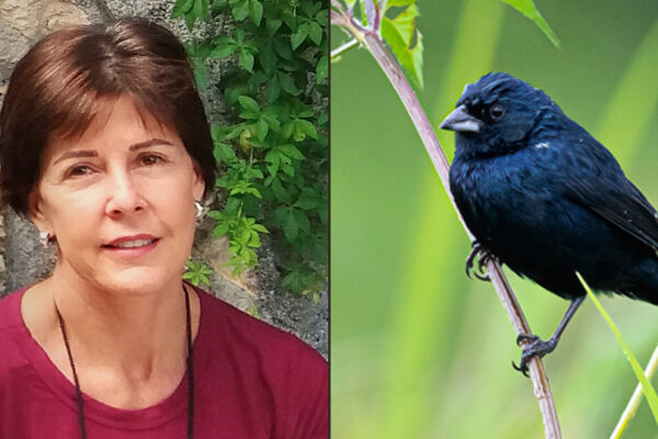 Image of woman with short brown hair next to image of medium-sized black bird perched on thin branch.