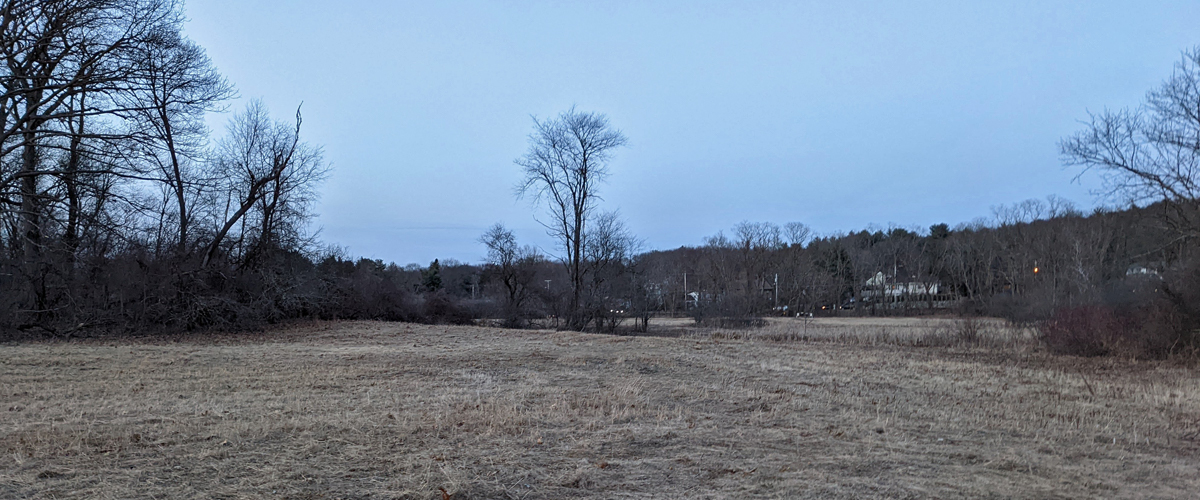 A dusky sky over a cleared field, with trees on its border.