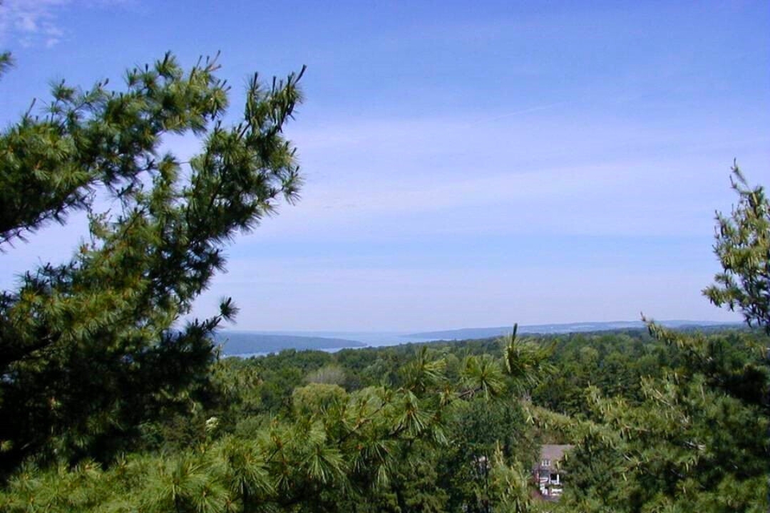 View of Cayuga Lake from an American Crow's nest.