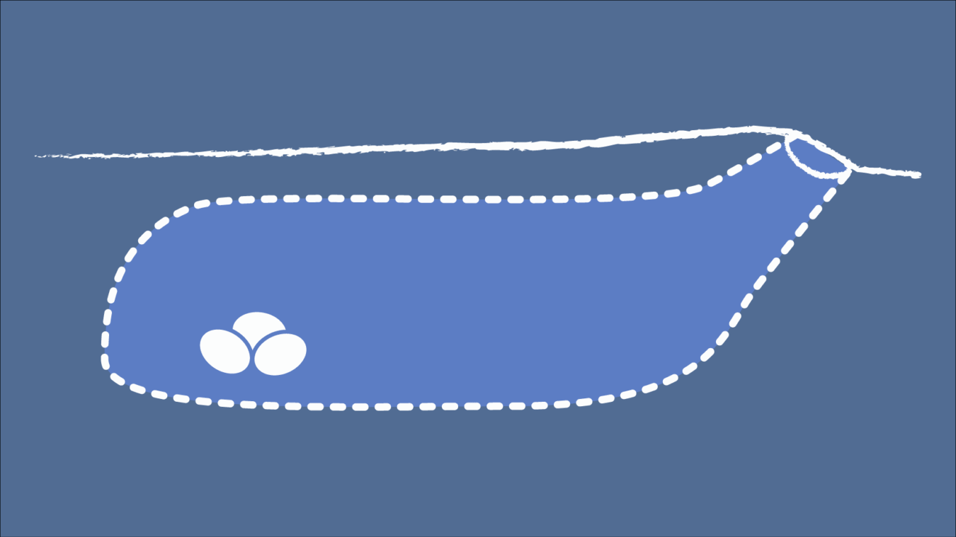 diagram of a gourd shaped nest in the ground with eggs inside