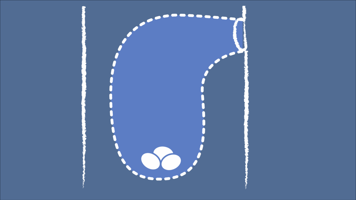 diagram of the oval shaped nest inside a tree with eggs inside