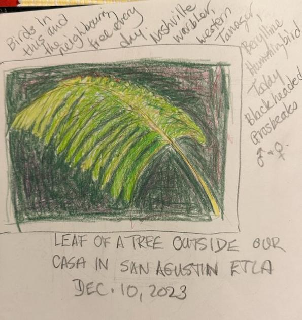 Field Sketch Dec 10 2023