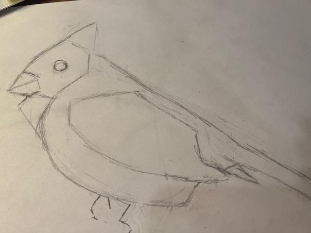 Cardinal sketch