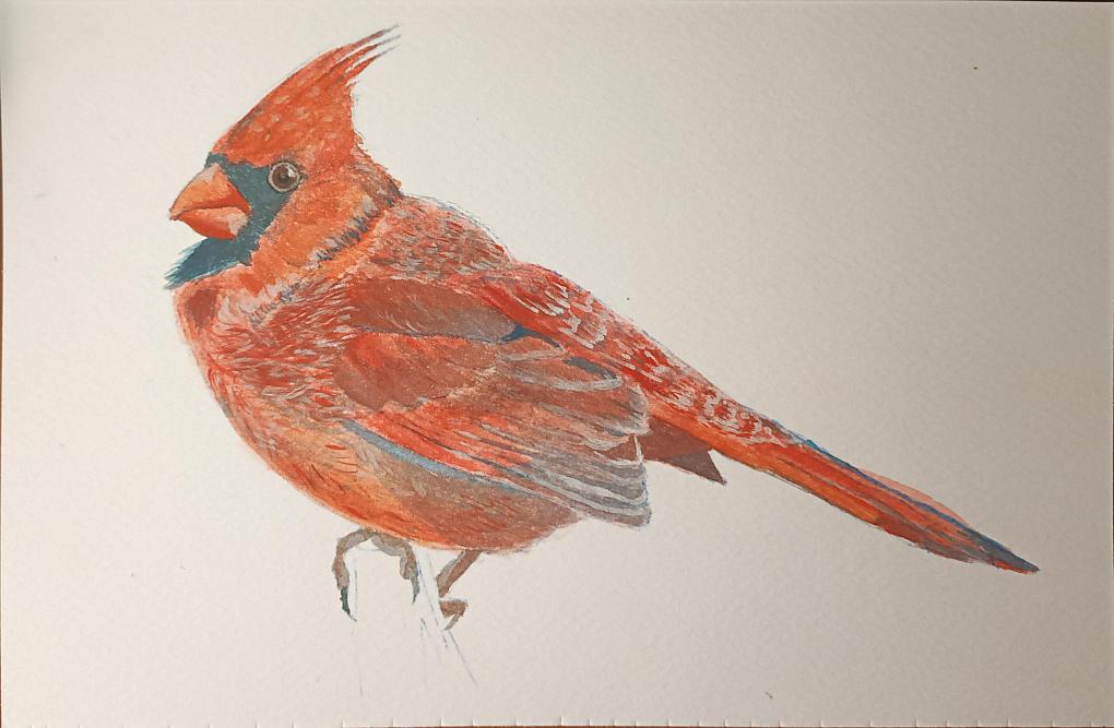 WhatsApp Image 2024-06-12 at 1.53.05 PM