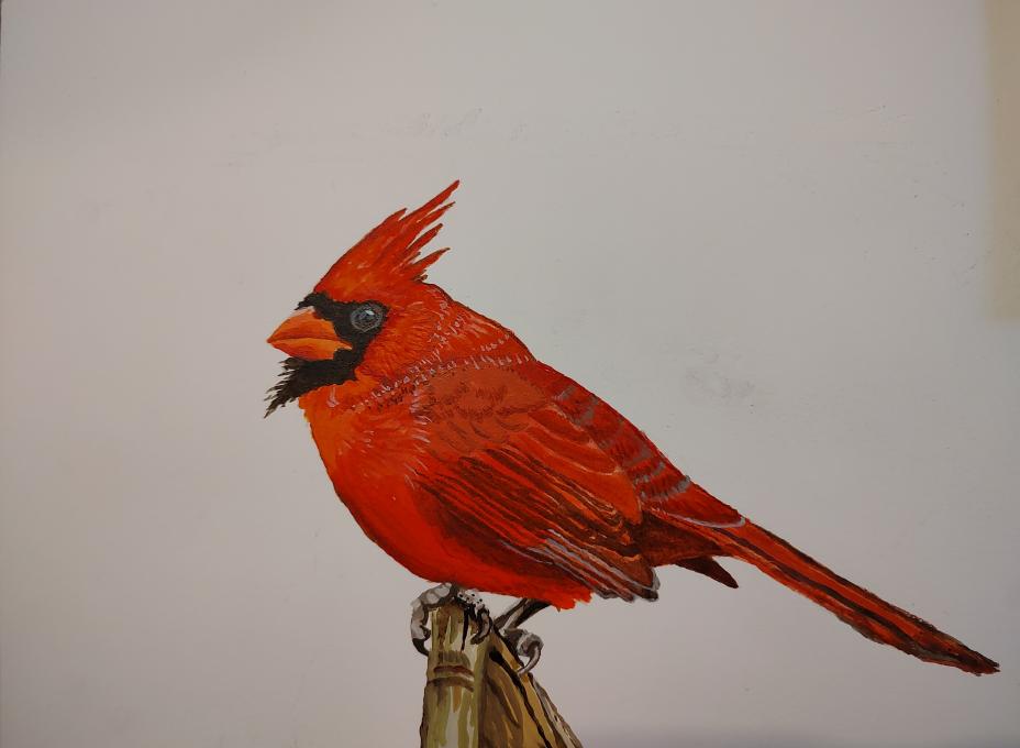 IMG_20241218_160448539~2