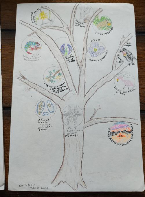 2025 jan mar tree