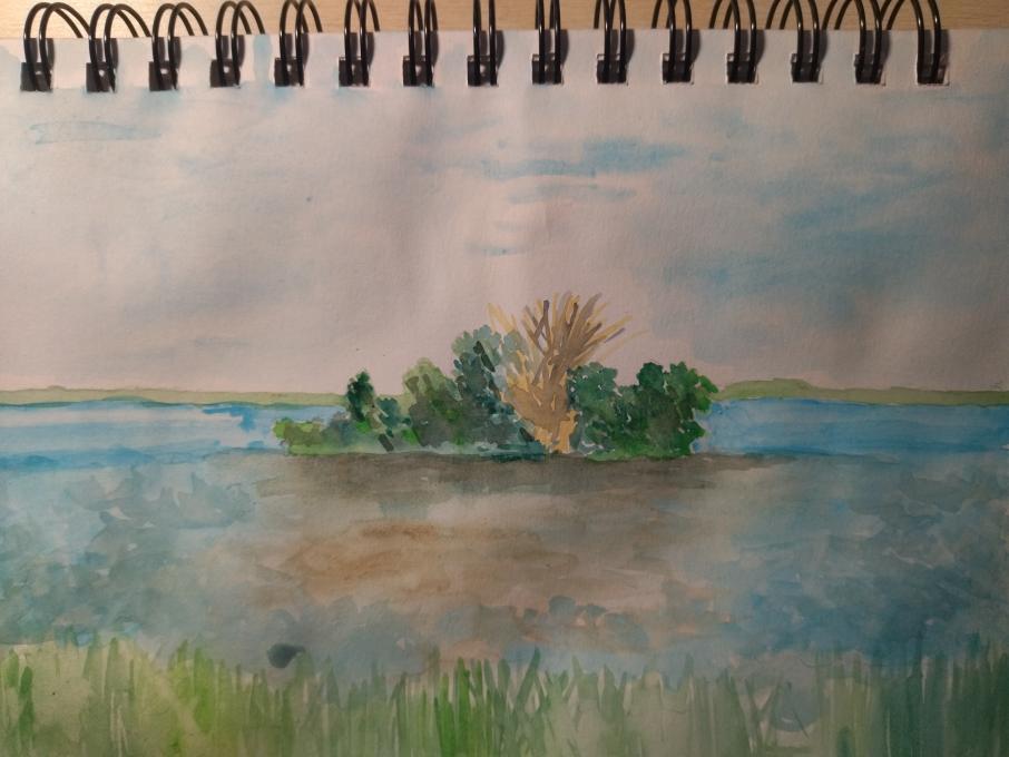 IMG_20250301_160841