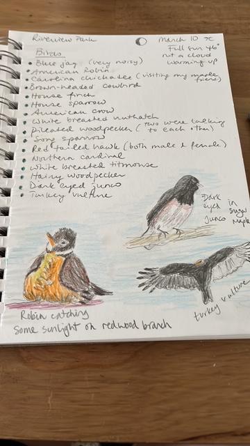nature journal