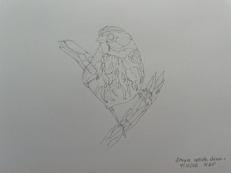 Upside Down Drawing