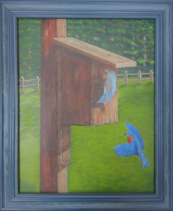 Blue Birds2