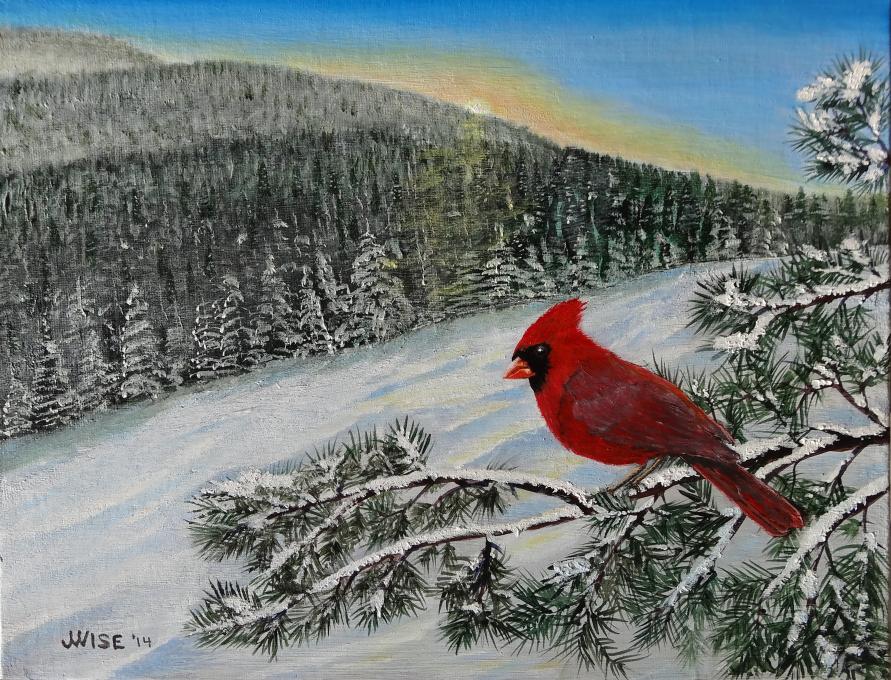 cardinal2014 xmas (2) (2021_03_24 20_37_29 UTC)