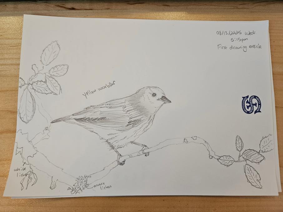 yellowwarbler