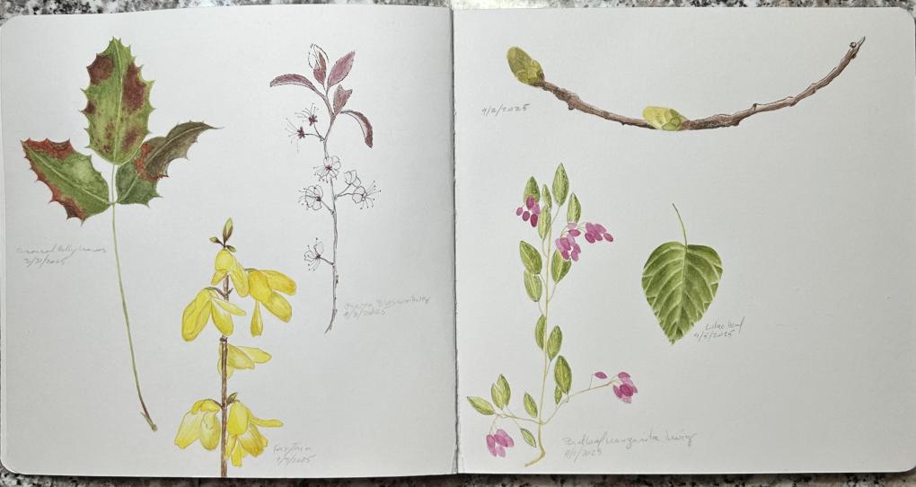 Journal Week 2