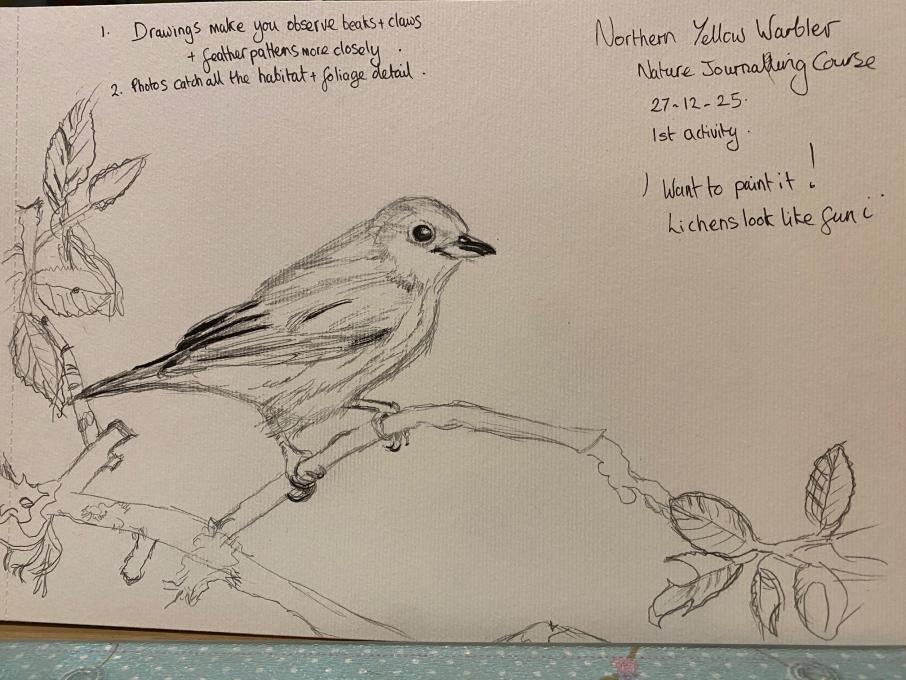 AG Nature J Course 1 25