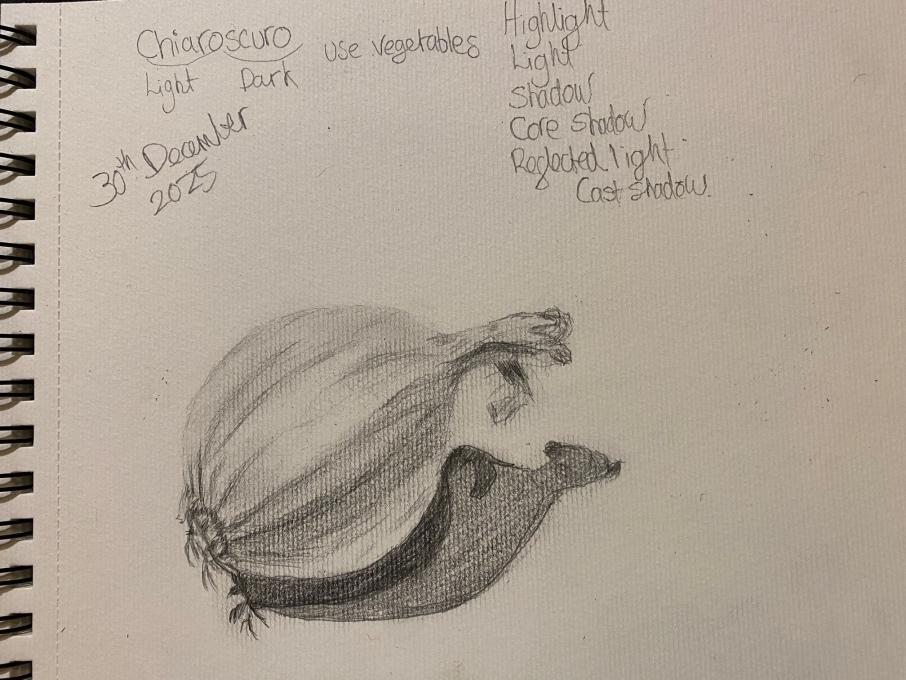 AG Nature Journaling chiaroscuro value