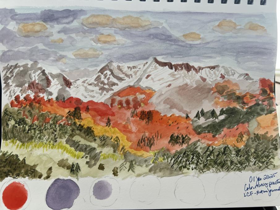 Liz Clayton Fuller watercolor practice