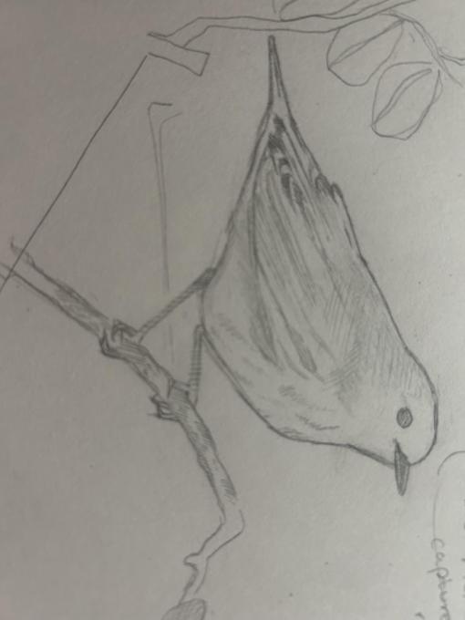 unnamed