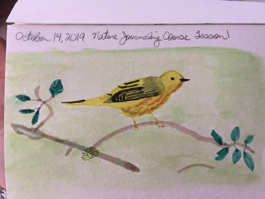 Yellow Warbler painting 1