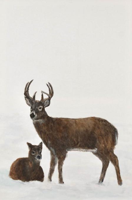 white tailed deer on canvas cropped