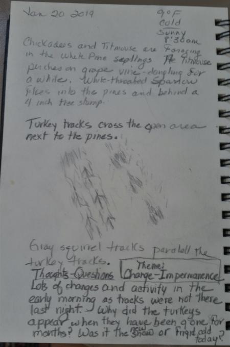 Journal Entry Change in Nature Theme-1