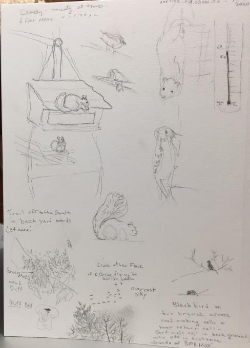 Nature Journal_gesture drawing