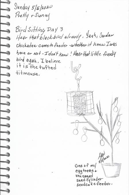 Sketch Nature Journaling and Field Sketching Bird Sitting 3