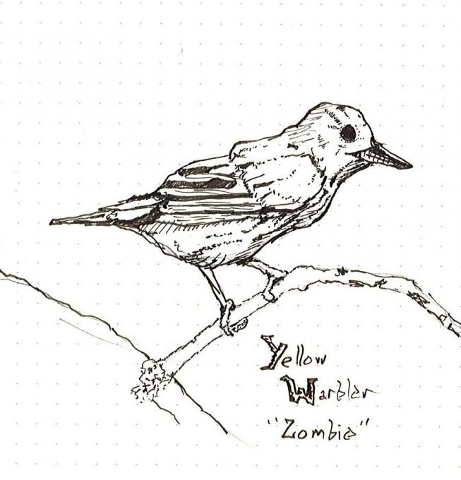 Zombie Warbler