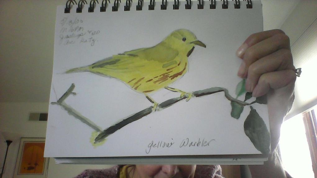 Yellow Warbler 051420